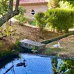 Casa Da Quinta Da Prelada Simao Partie Basse *