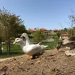 Σπίτι διακοπών Casa Da Quinta Da Prelada Simao Partie Basse Celorico De Basto