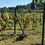 Σπίτι διακοπών Casa Da Quinta Da Prelada Simao Partie Basse Celorico De Basto