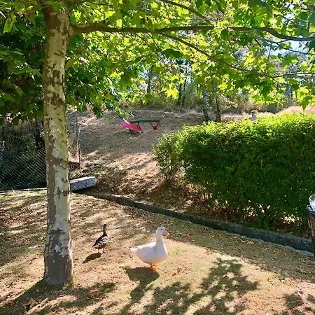 Casa Da Quinta Da Prelada Simao Partie Basse Semesterbostad Celorico De Basto