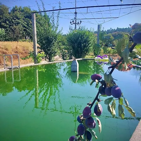 펜션 Casa Da Quinta Da Prelada Simao Partie Basse *