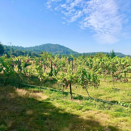 Casa Da Quinta Da Prelada Simao Partie Basse Celorico De Basto