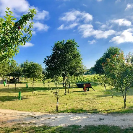 Casa Da Quinta Da Prelada Simao Partie Basse Ferienhaus Celorico De Basto