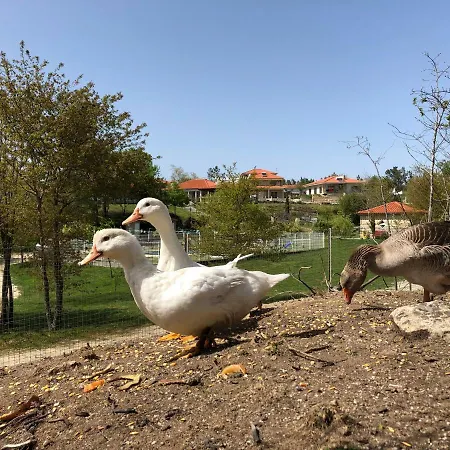 Ferienhaus Casa Da Quinta Da Prelada Simao Partie Basse Celorico De Basto