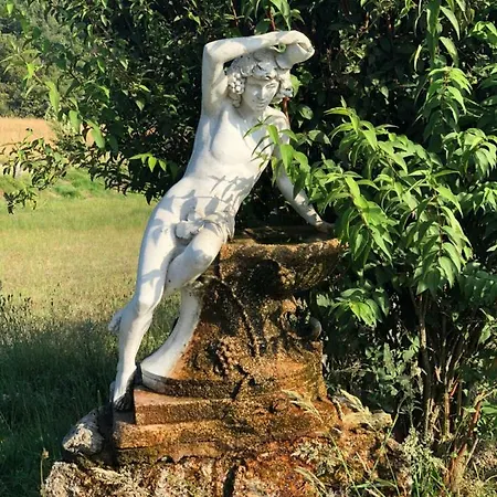 Casa Da Quinta Da Prelada Simao Partie Basse Celorico De Basto