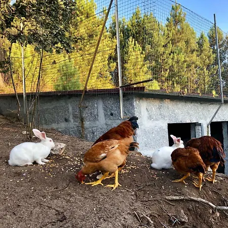 Casa Da Quinta Da Prelada Simao Partie Basse