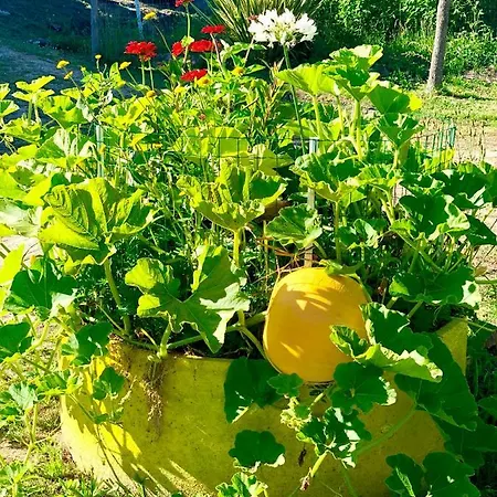 Casa Da Quinta Da Prelada Simao Partie Basse 펜션