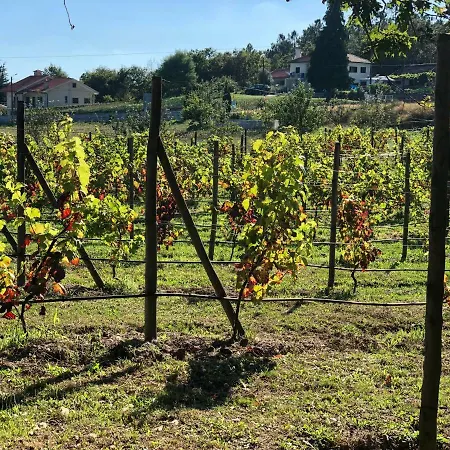 Casa vacanze Casa Da Quinta Da Prelada Simao Partie Basse Celorico De Basto
