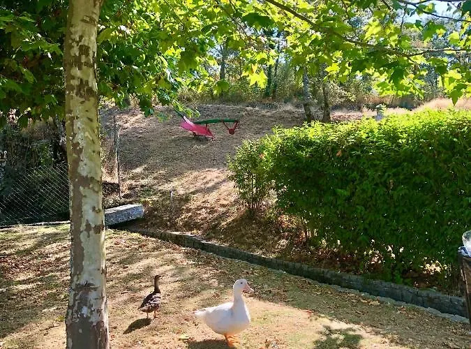 Casa Da Quinta Da Prelada Simão Partie Basse Casa de Férias Celorico De Basto