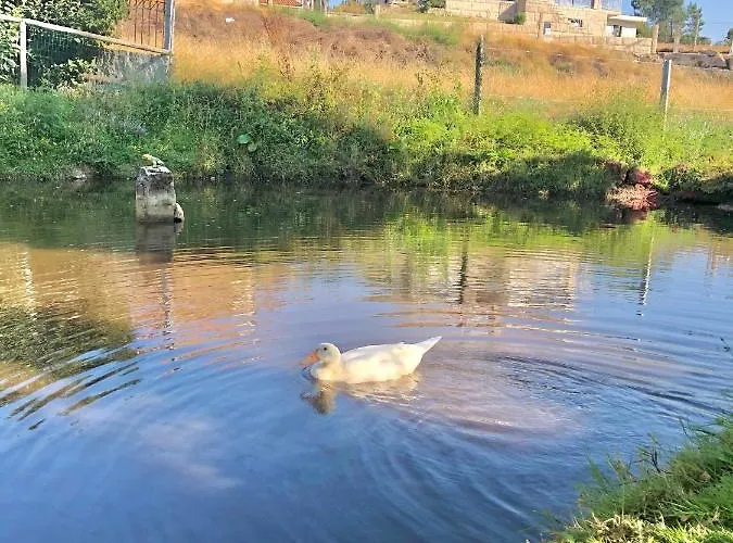 Casa Da Quinta Da Prelada Simao Partie Basse Hébergement de vacances