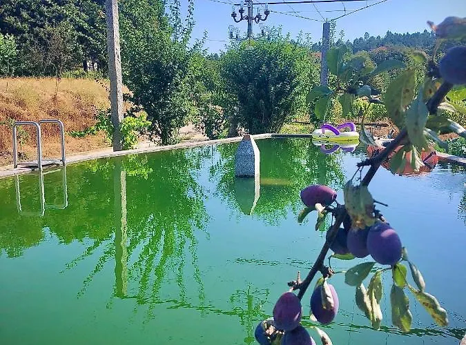 Casa de Férias Casa Da Quinta Da Prelada Simão Partie Basse *