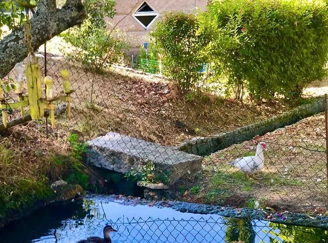 Casa Da Quinta Da Prelada Simao Partie Basse *