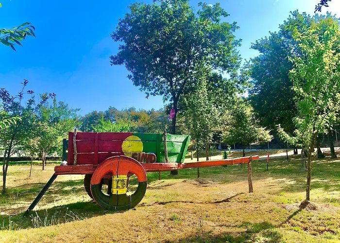 Casa Da Quinta Da Prelada Simão Partie Basse * Celorico De Basto