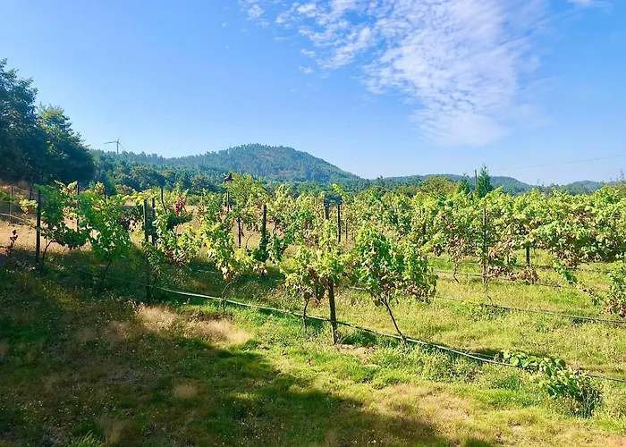 Casa Da Quinta Da Prelada Simao Partie Basse Castelbuono