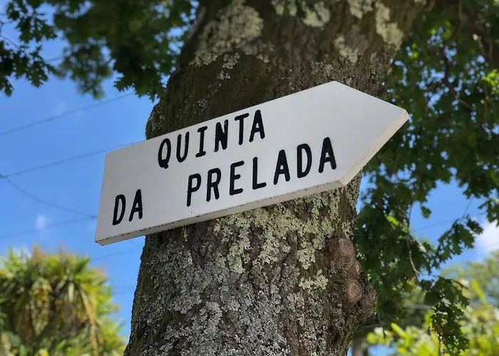 Holiday home Casa Da Quinta Da Prelada Simao Partie Basse *