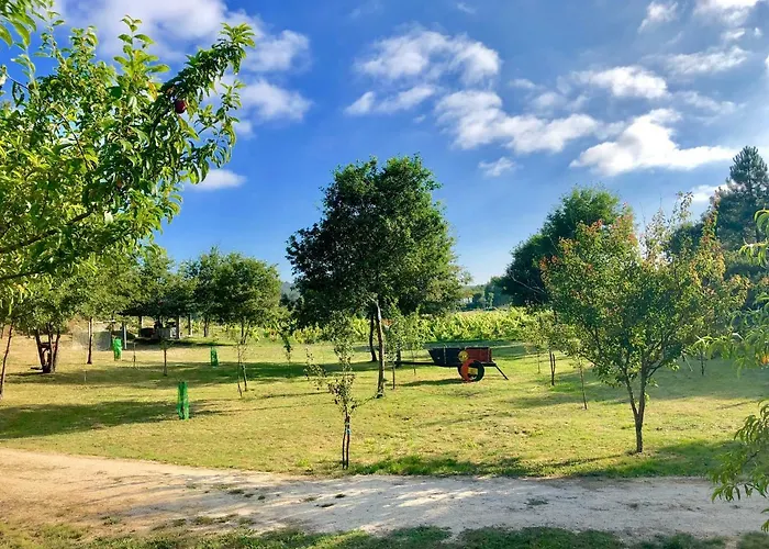 Casa Da Quinta Da Prelada Simão Partie Basse Casa de Férias Celorico De Basto