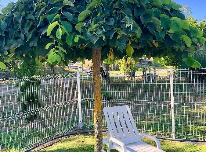 Casa Da Quinta Da Prelada Simão Partie Basse