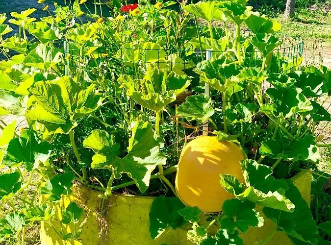 Casa Da Quinta Da Prelada Simão Partie Basse Casa de Férias