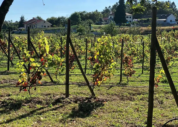 Hébergement de vacances Casa Da Quinta Da Prelada Simao Partie Basse Castelbuono